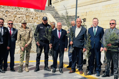 Mardin Yeşilli’de tarihi rekor! 102 bin meyveli fidan dağıtıldı