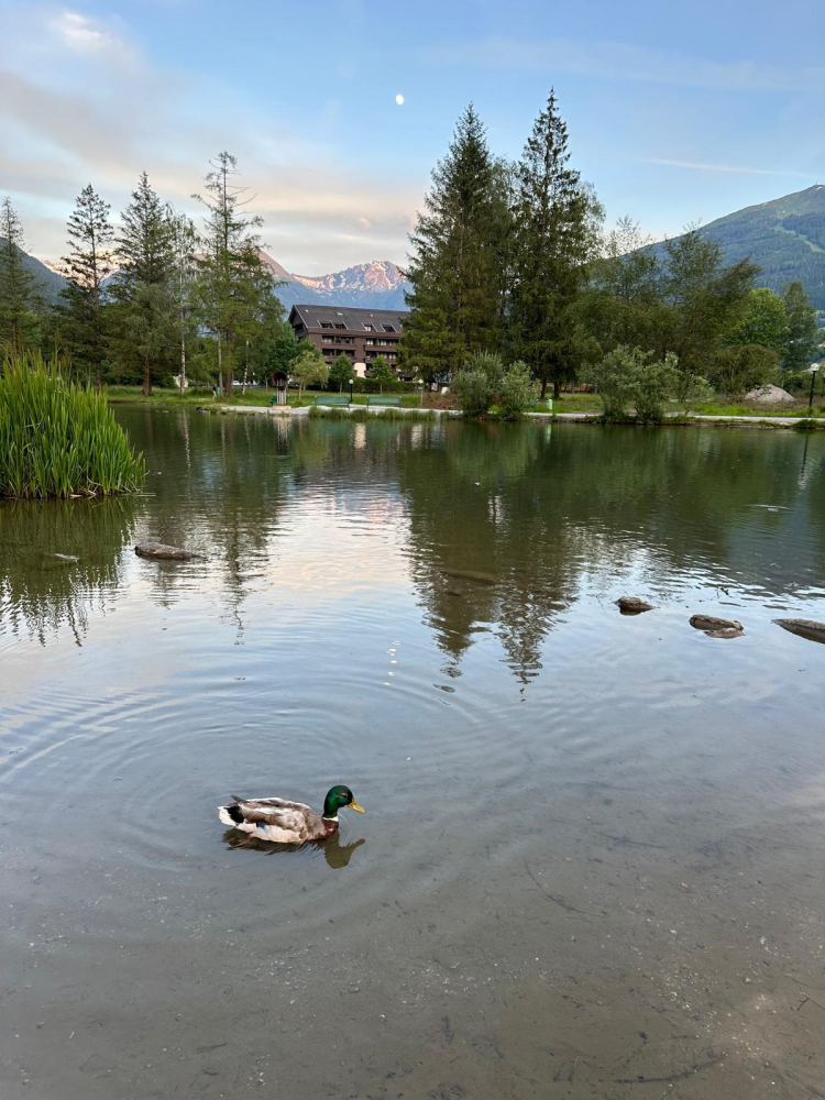 Gastein Vadisi