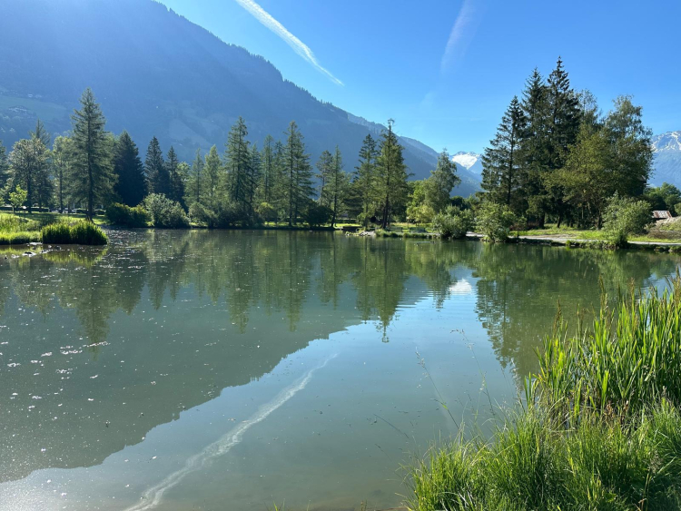 Gastein Vadisi
