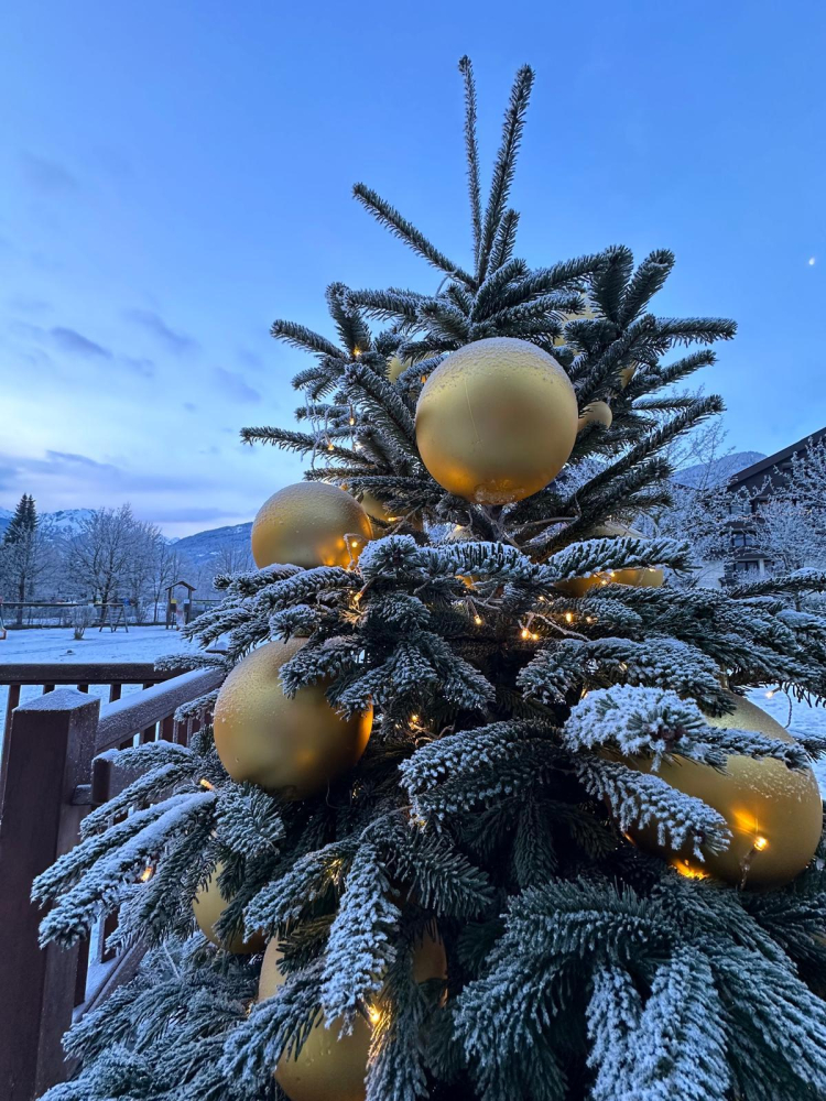 Gastein Vadisi