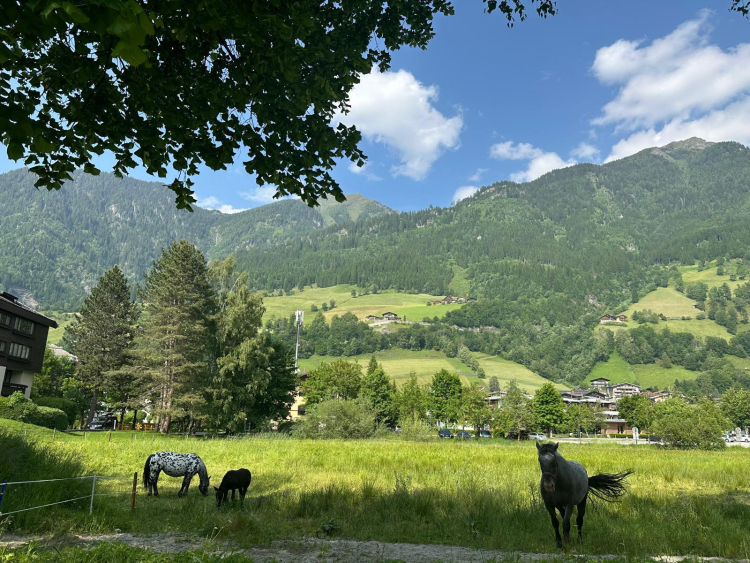 Gastein Vadisi