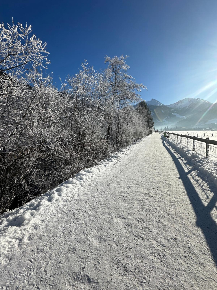 Gastein Vadisi