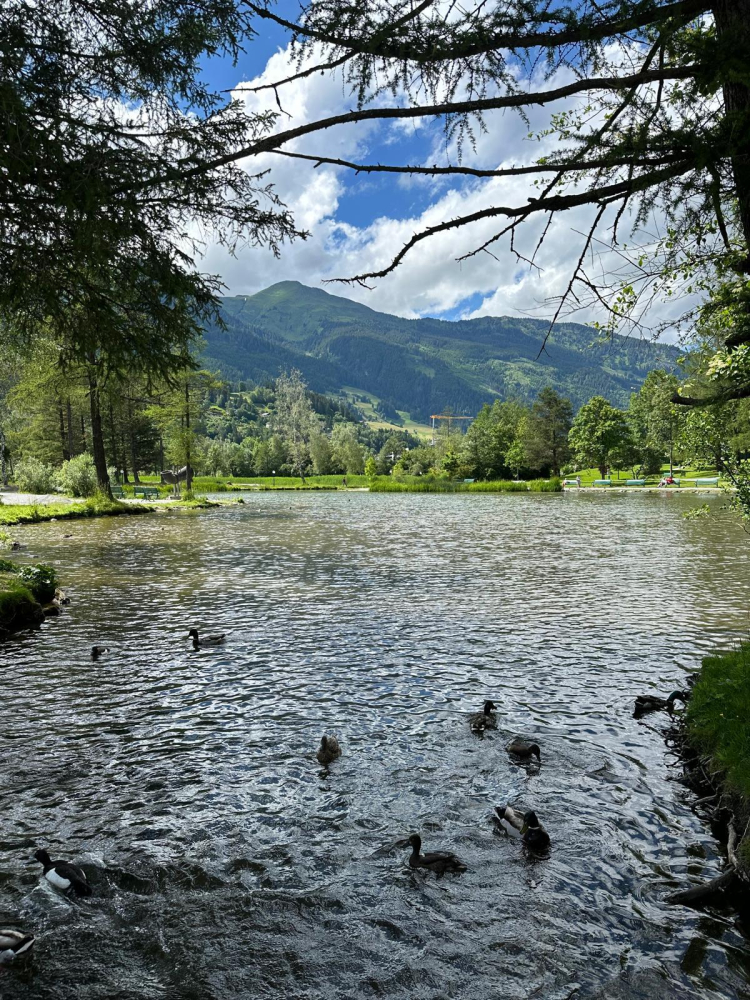 Gastein Vadisi