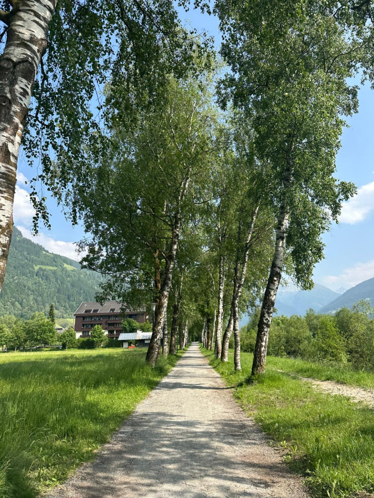 Gastein Vadisi