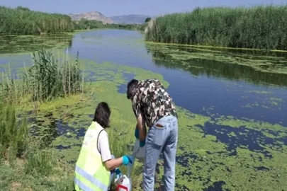 Yaz aylarında Gediz'de kirlilik yükselişe geçti