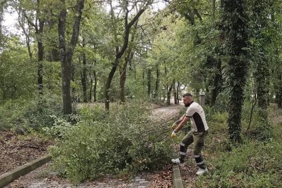 Kocaeli Gebze’deki mezarlıklarda yoğun mesai